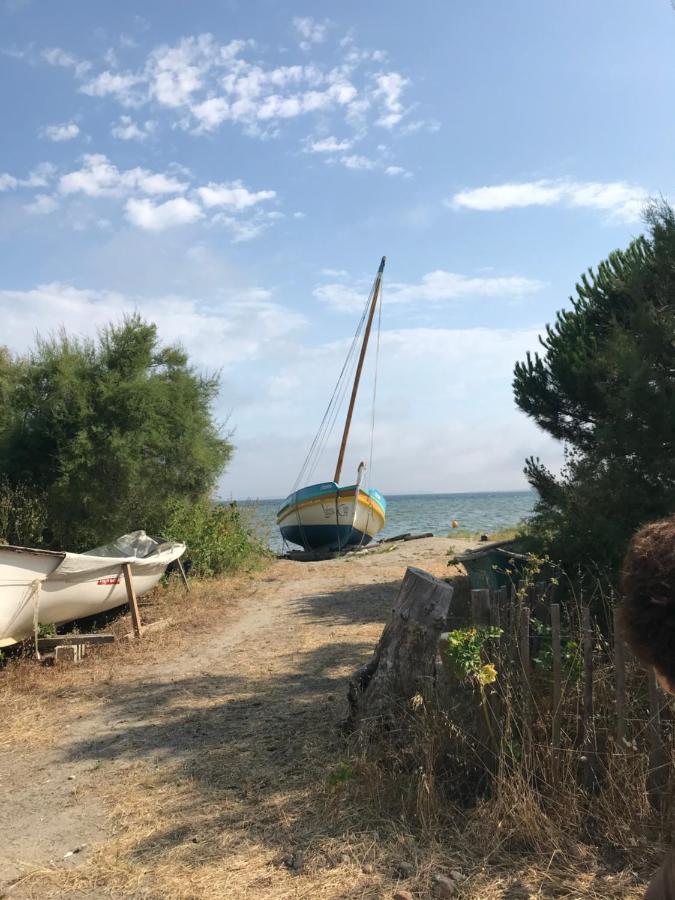 Le Gite Des Tontons Saint-Laurent-de-la-Salanque Eksteriør bilde